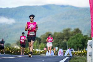 BIB: 
                            <button type="button" onclick="openModal(26542247)" class="btn btn-primary btn-sm float-right btn-popup" data-toggle="modal" data-target=".modal-high-quality">
                        <i class="fas fa-shopping-cart"></i> Add to Cart
                    </button>
                                            <button type="button" onclick="isThisMe(26542247, true)" class="btn btn-success btn-sm float-right btn-popup btn-isme hidden" data-toggle="tooltip" data-placement="bottom" title="นี่คือรูปของคุณใช่ไหม คลิกที่นี่เพื่อเอาเข้าอัลบั้ม">
                        <i class="fas fa-plus"></i> Add to album
                    </button>
                    <button type="button" onclick="isThisMe(26542247, false)" class="btn btn-warning btn-sm float-right btn-popup btn-isnotme hidden">
                        <i class="fas fa-ban"></i> Remove from album
                    </button>